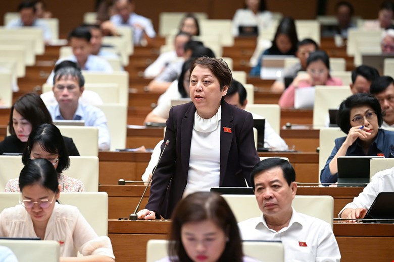 Delegate Pham Khanh Phong Lan proposed the death penalty for the crime of producing and trading fake food and fake milk. Photo: Quochoi.vn
