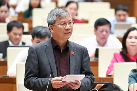 Dai bieu Nguyen Anh Tri cho rang