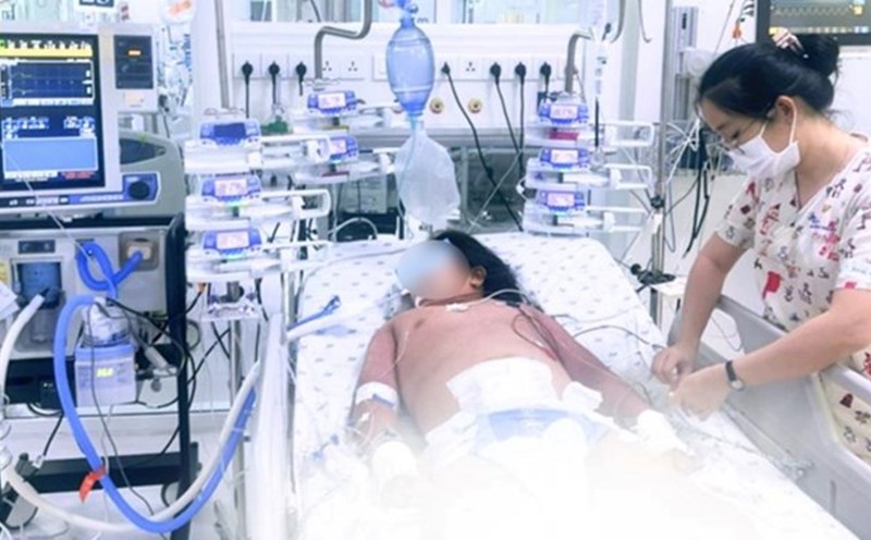 Children with dengue fever. Photo: Provided by the City Children's Hospital