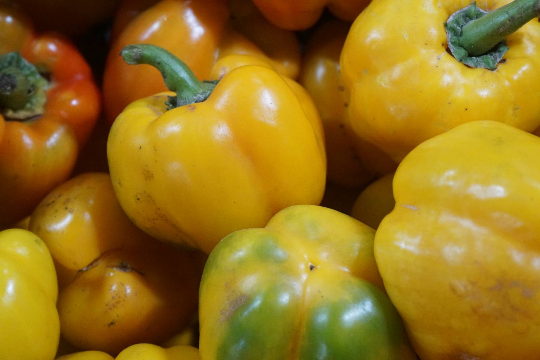 lock fruit has a low glycemic index, good for people with diabetes. Photo: Thanh Thanh