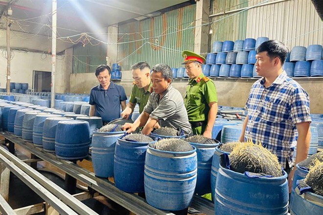 Phát hiện 2 hộ dân dùng hóa chất độc hại để sản xuất hàng trăm tấn giá đỗ
