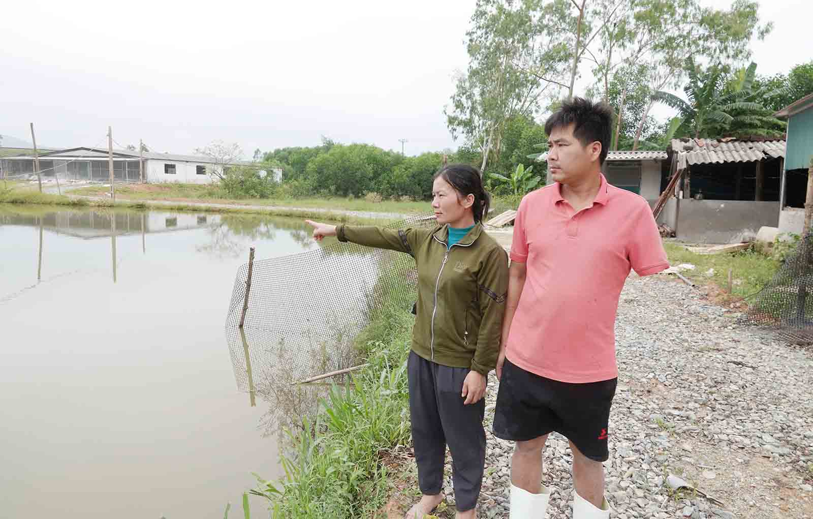Mr. Hai and his wife are heartbroken in the distance by the fish pond that was submerged by floodwaters, the fish were taken out of the water, and caused great damage. Photo: Tran Tuan.