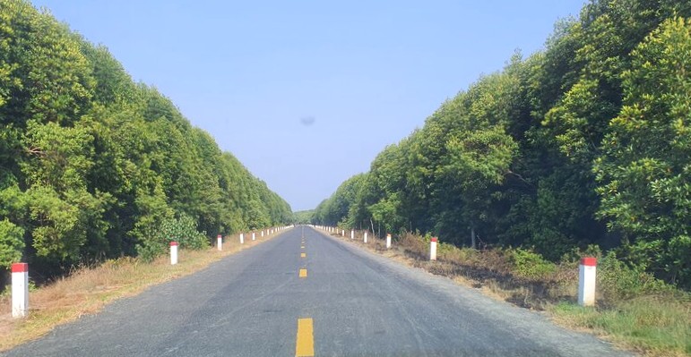 Duong ve Dat Mui, huyen Ngoc Hien, tinh Ca Mau. Anh: Nhat Ho