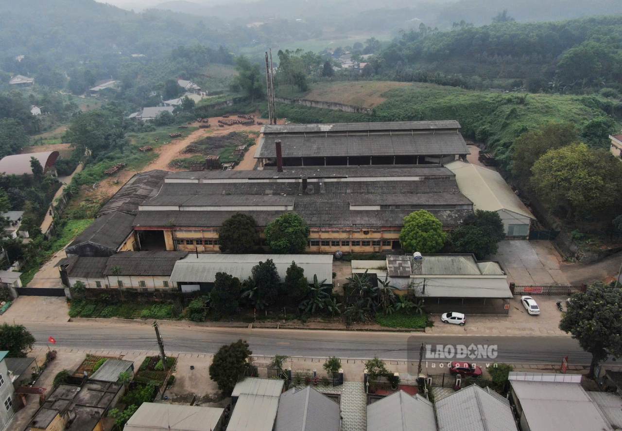 The global financial institution company was required to stop operations after being reported by Lao Dong Newspaper. Photo: Van Duc.