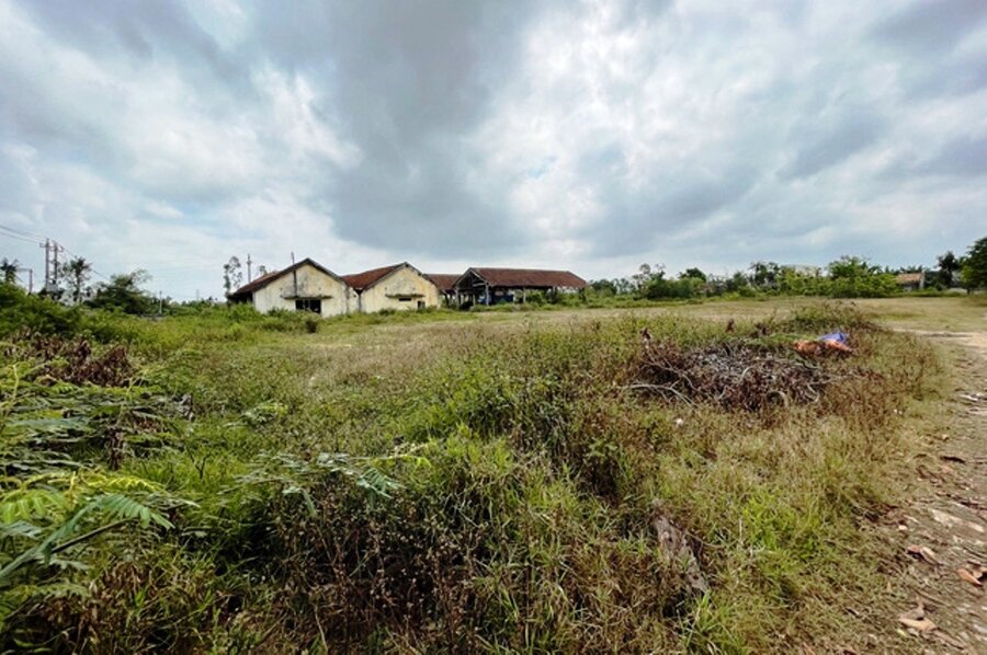 Quang Ngai Tea Forestry Co., Ltd. tarda en pagar un seguro social durante 70 meses con un pago total tardio de mas de 567 millones de VND. Foto: Vien Nguyen