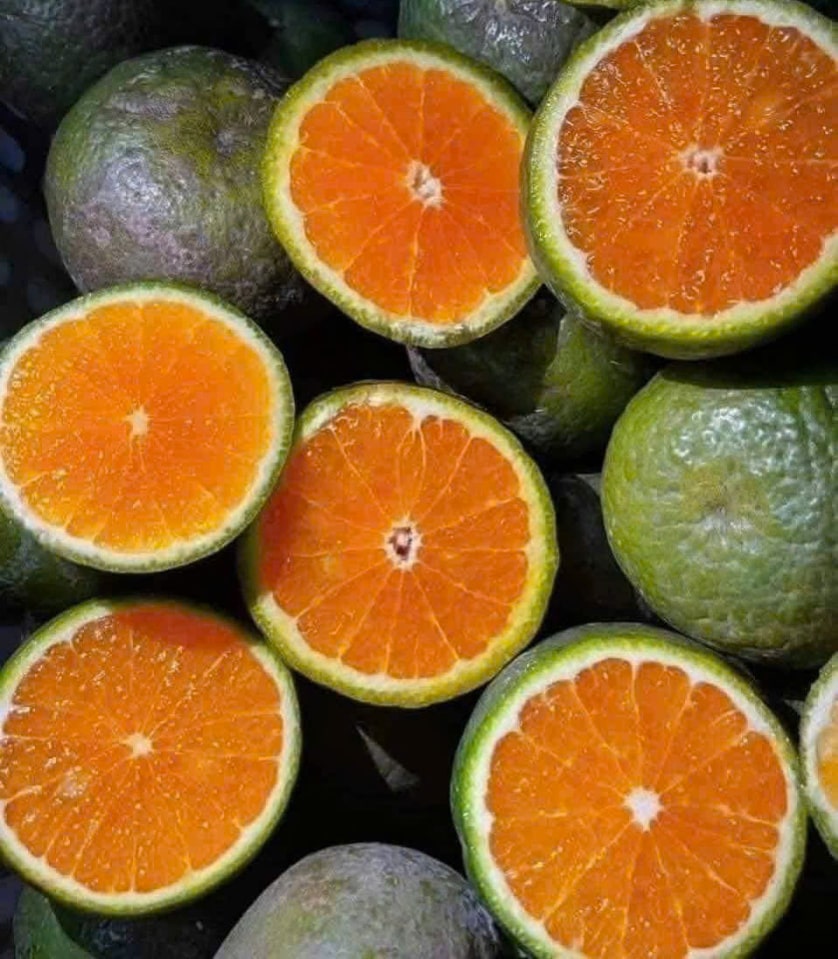 Oranges help reduce uric acid levels. Photo: Quang Minh.