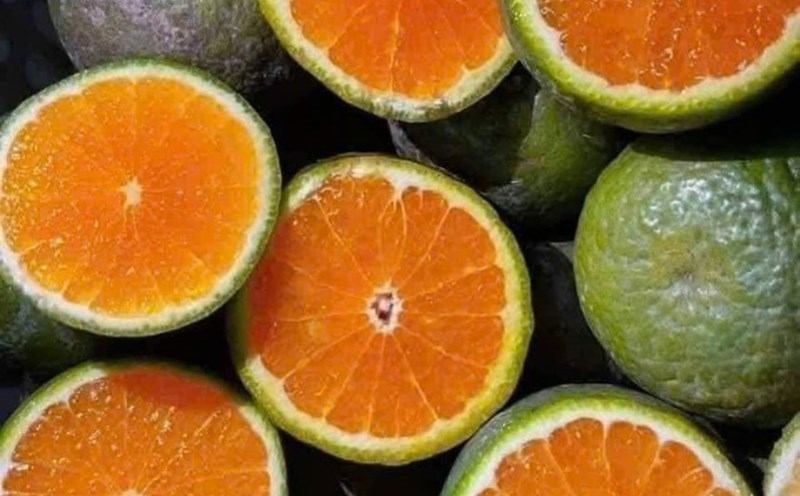 Oranges help reduce uric acid levels. Photo: Quang Minh.
