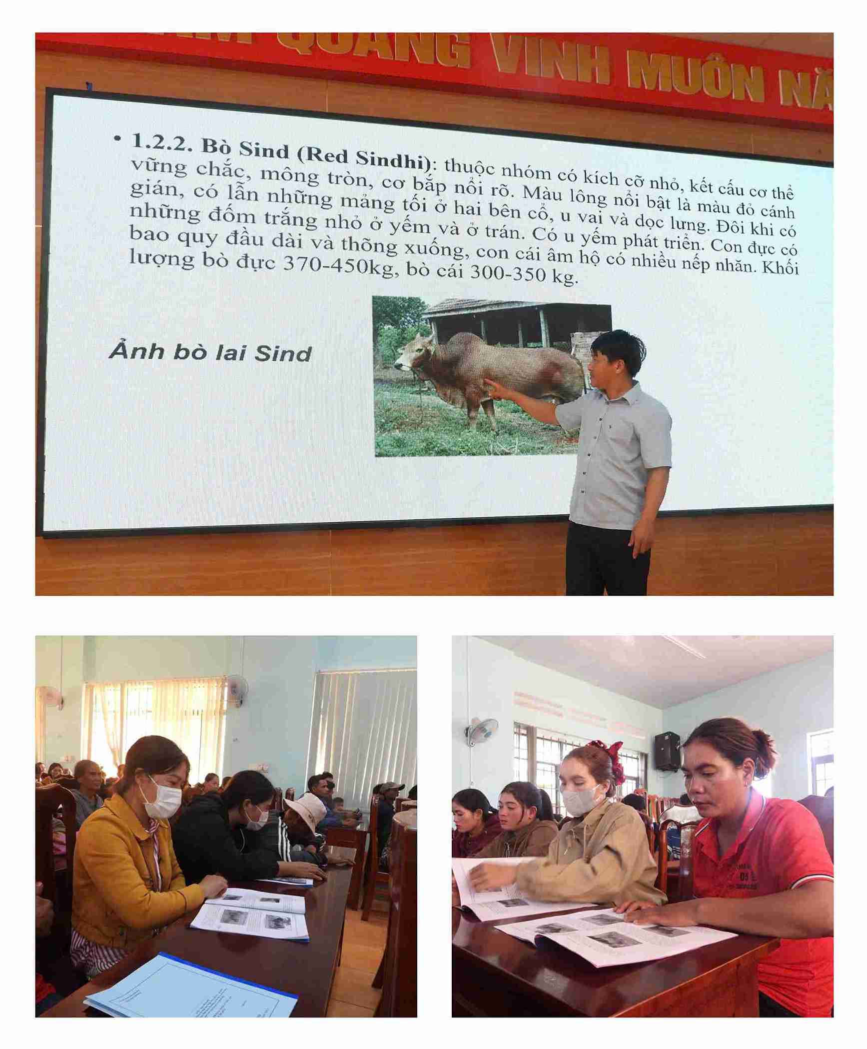 Dong bao dan toc thieu so o Dak Lak hoc hoi mo hinh phat trien kinh te chan nuoi ho gia dinh. Anh: Bao Trung