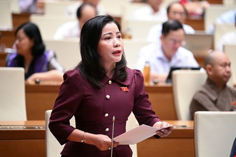 Delegate Nguyen Thi Thu Nguyet speaks. Photo: Quochoi