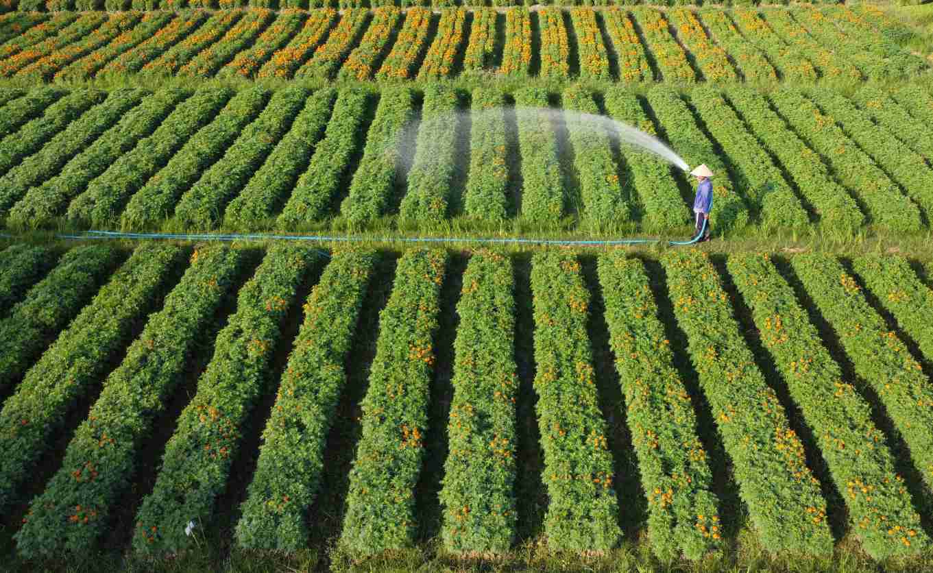 Binh Duong province leased 65,024 m2 of land for educational complexes. Photo: Dinh Trong