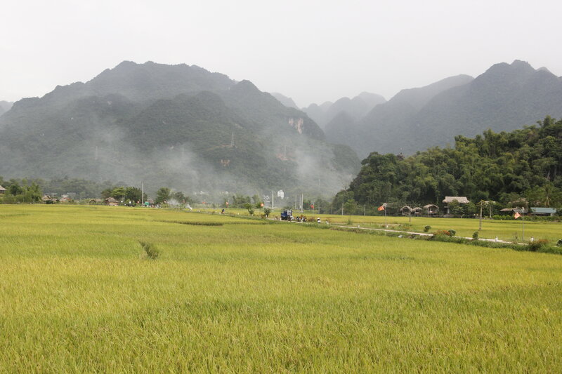 La Ley de Tierras de 2024 tiene muchos puntos nuevos para facilitar a los agricultores. Foto: Nguyen Ha