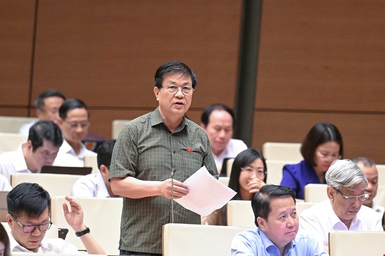 Dai bieu Quoc hoi Do Ngoc Thinh (Doan Khanh Hoa). Anh: Quochoi.vn
