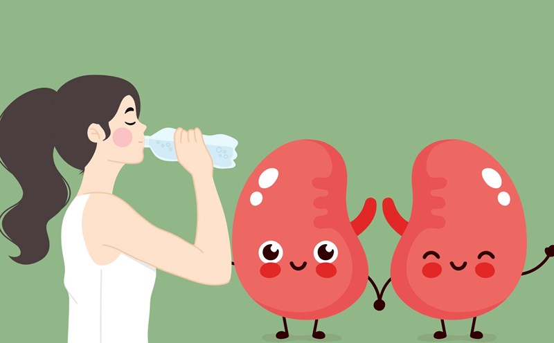You should drink enough filtered water every day to help the kidneys filter effectively. Graphic photo: HUENG SON