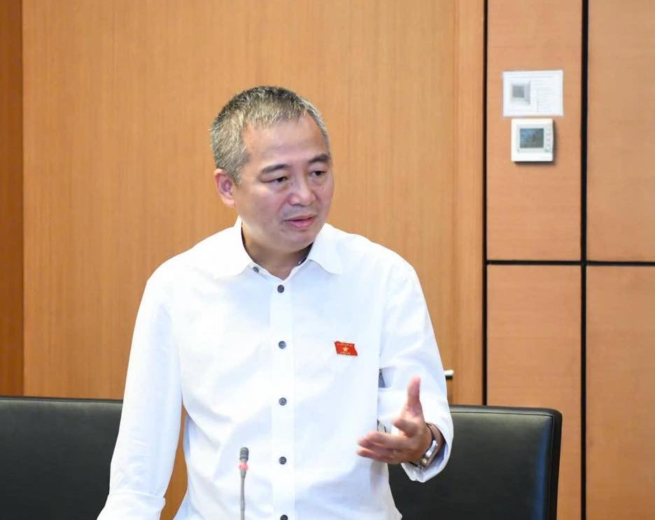 National Assembly delegate Nguyen Lan Hieu. Photo: Character provided