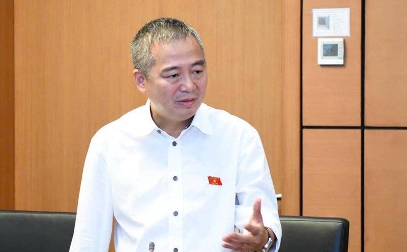 National Assembly delegate Nguyen Lan Hieu. Photo: Character provided