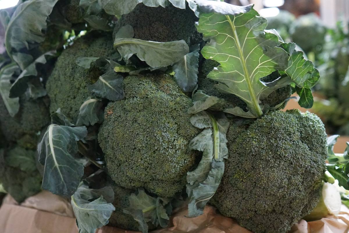 Broccoli is an ingredient for breakfast that helps fight inflammation. Photo: Thanh Thanh