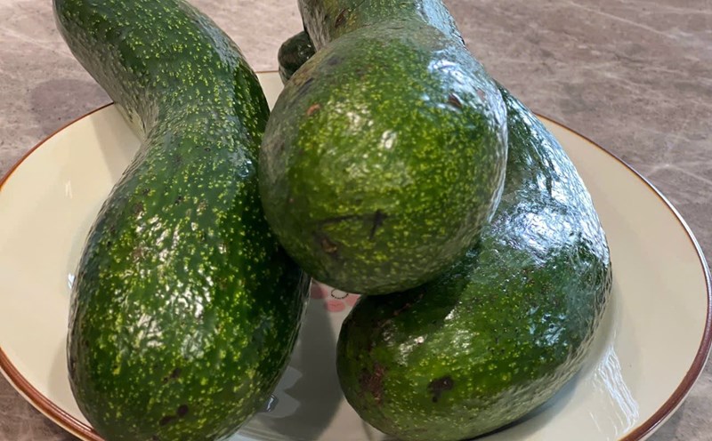Avocado oil can improve fatty liver condition. Photo: Quang Minh.