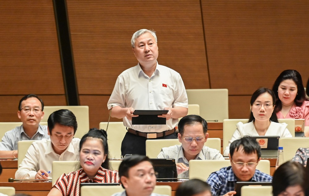 Dai bieu Tran Van Lam phat bieu. Anh: Pham Dong