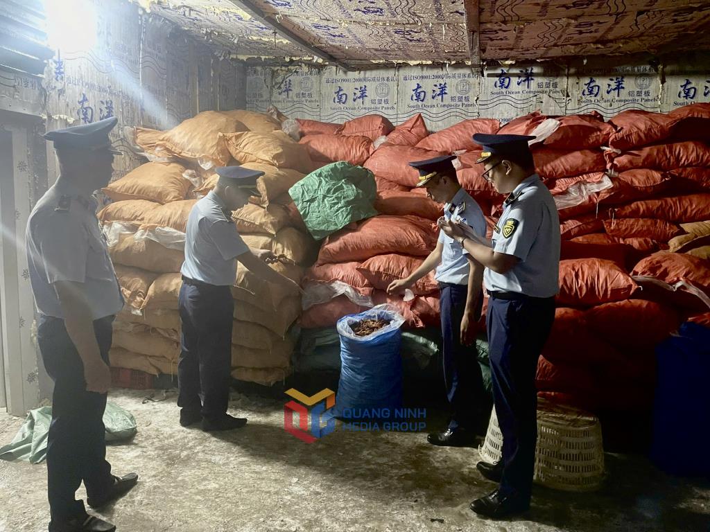 Se incautaron alrededor de 8 toneladas de patas de pollo de origen desconocido en Mong Cai en la cima de la lucha por prevenir y repeler el contrabando, los fraudes comerciales, los bienes falsos, lo que infringe los derechos de propiedad intelectual. Foto: Quang Ninh Centro de comunicacion.