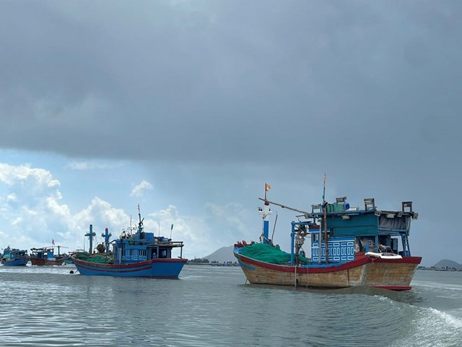 Khánh Hòa chủ động ứng phó với áp thấp, dự báo thời tiết mưa lớn đến 30.5