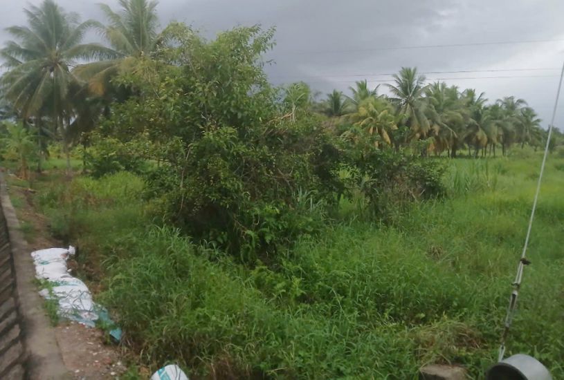 La tierra esta involucrada en la planificacion del Proyecto del Area Urbana de Dong Khoi. Foto: Thanh Nhan