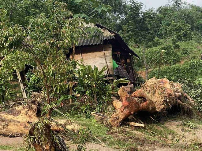Lũ quét tàn phá làng bản miền núi Nghệ An