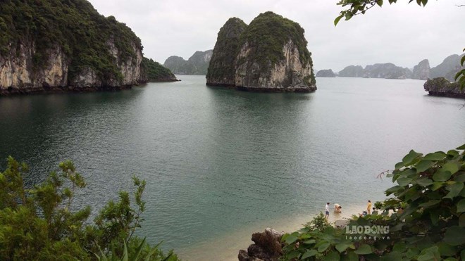Lý do tàu không chạy tuyến kết nối vịnh Hạ Long - vịnh Lan Hạ