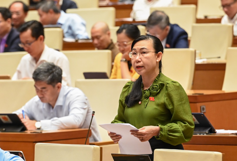 National Assembly delegate Phan Thi My Dung is wondering whether the Procuracy will both file a lawsuit and inspect the litigation activities. Photo: Pham Dong