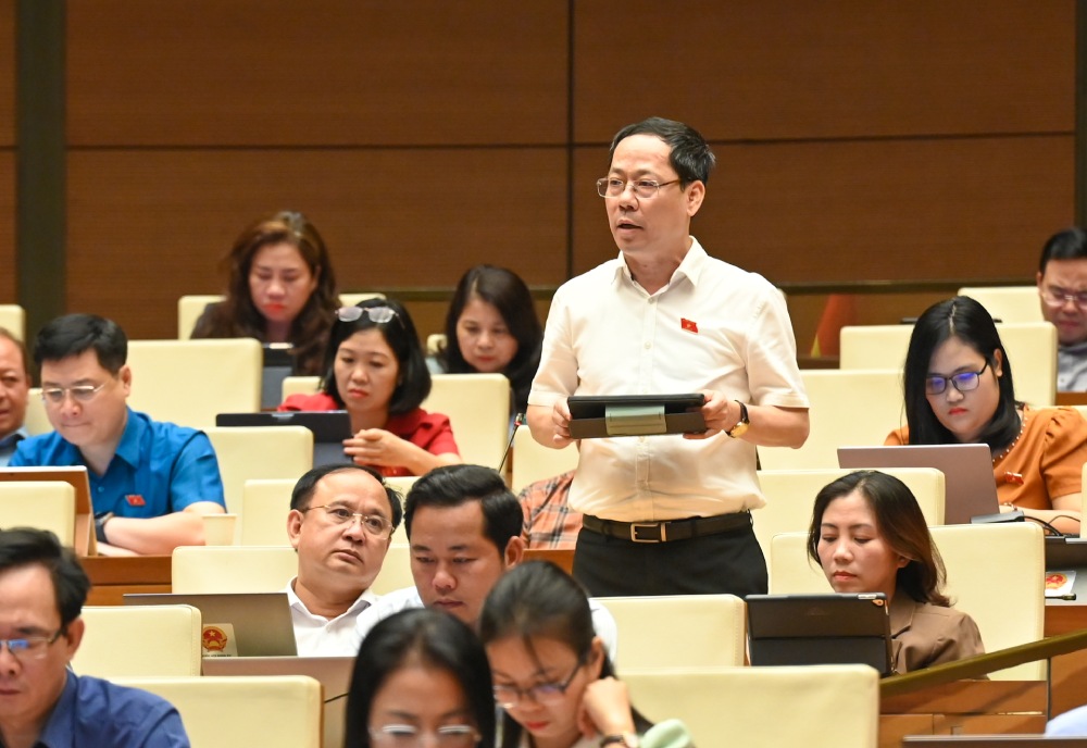 Dai bieu Tran Nhat Minh. Anh: Pham Dong