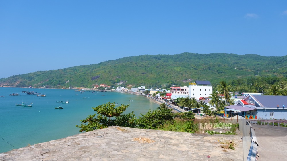 Anh: Phong Linh