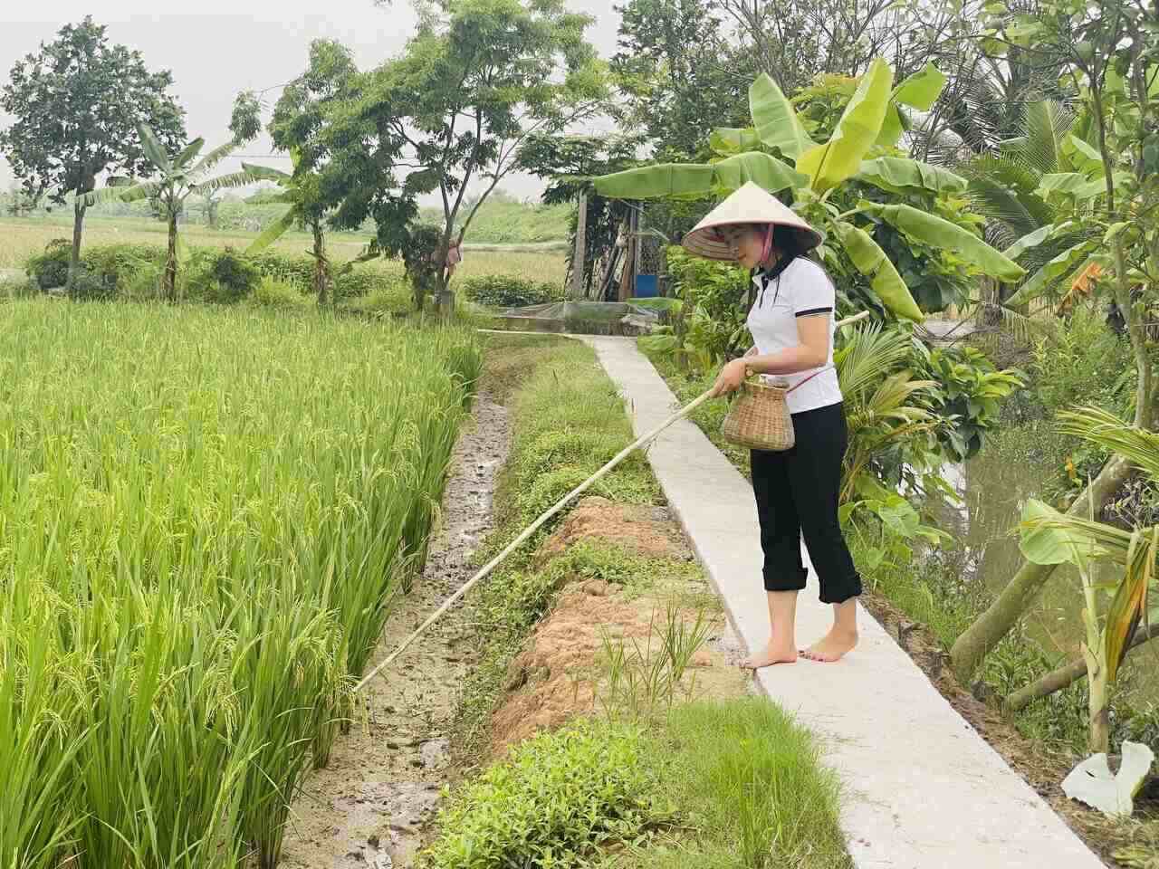 Summer fishing in Hai Duong. Photo: Mai Huong