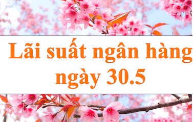 Lãi suất ngân hàng hôm nay 30.5: Kỳ hạn 12 tháng lãi suất cao nhất 7,7%-9%