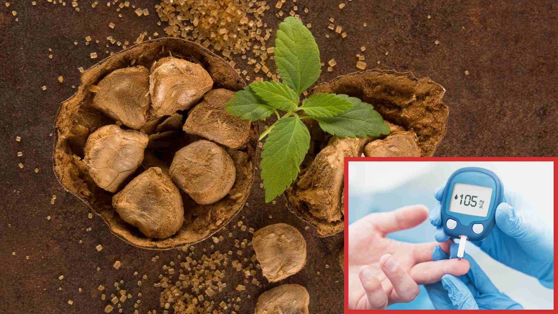 Un fruto con un nombre toxico que previene el aumento de azucar en la sangre. El dibujo de la piedra