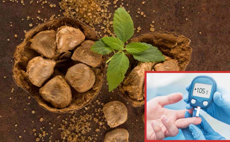 A fruit with a unique name prevents blood sugar from rising suddenly. Graphics: Thach Lam