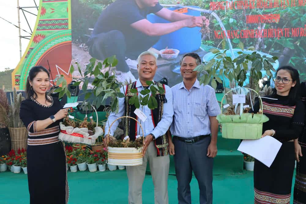 Sam Ngoc Linh, duoc lieu o Tu Mo Rong la diem den thu hut du khach. Anh: Thanh Tuan 