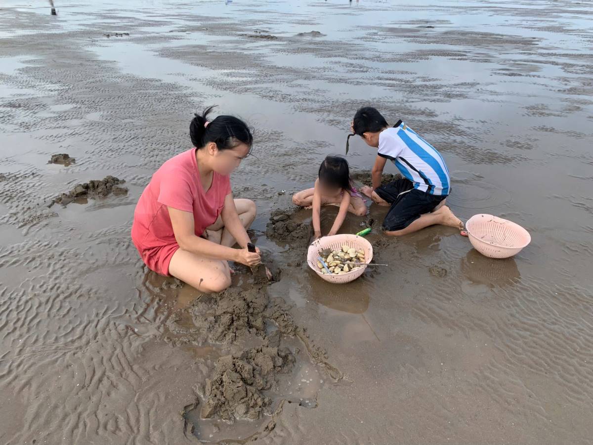 Nhieu gia dinh cho con nho di trai nghiem dich vu dao ngao mien phi tai bai cat xa Hoang Chau. Ảnh: Nguoi dan cung cap