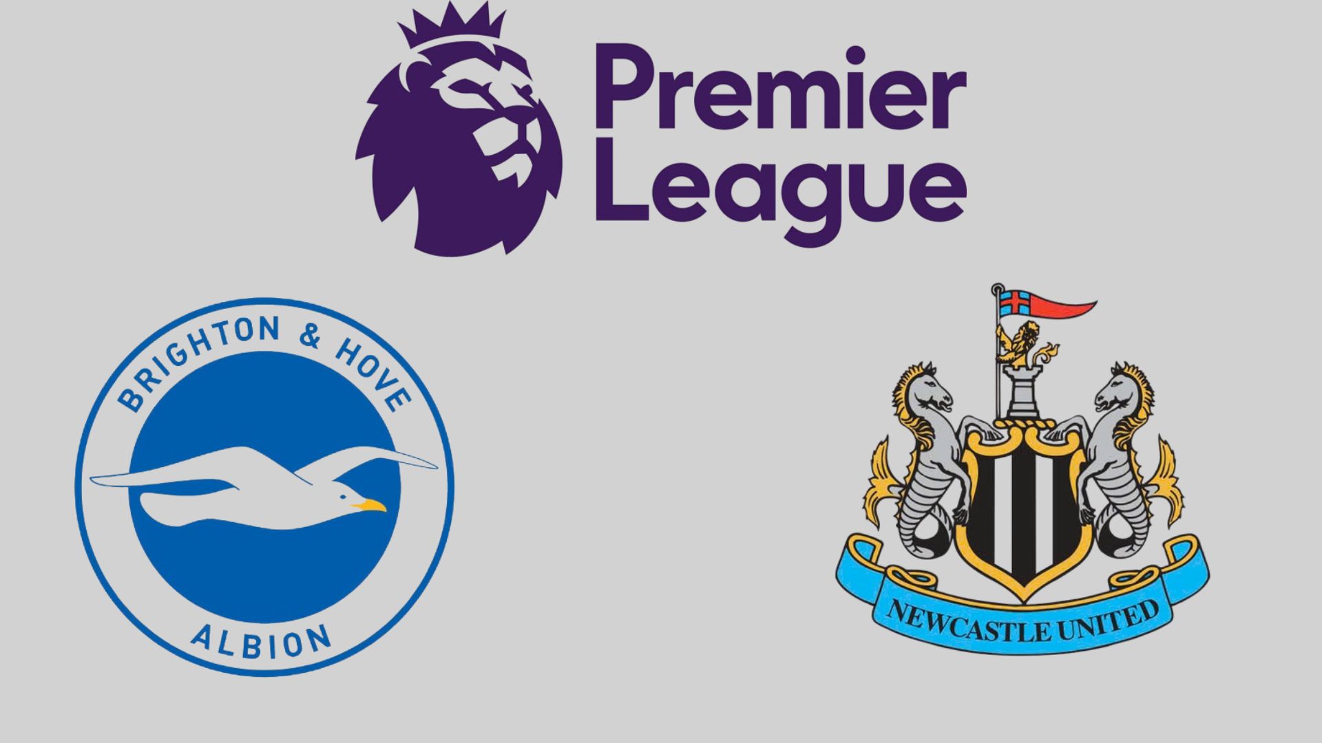 Brighton se enfrenta a Newcastle en la Premier League. Diseñado por Wan An