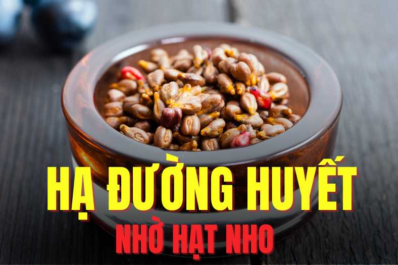 El extracto de semilla de uva es conocido por su capacidad para ayudar a la glucemia eficaz. El dibujo: Mi te