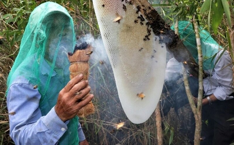 He sinh thai rung ngap lo Ca Mua mo ra co hoi phat trien du lich mang tinh dac trung. Anh: Nhat Ho