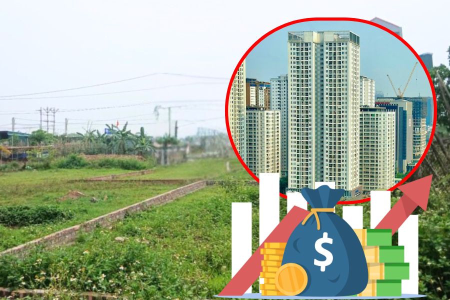 Riesgos de vender terrenos en el campo para invertir en viviendas de Hanoi
