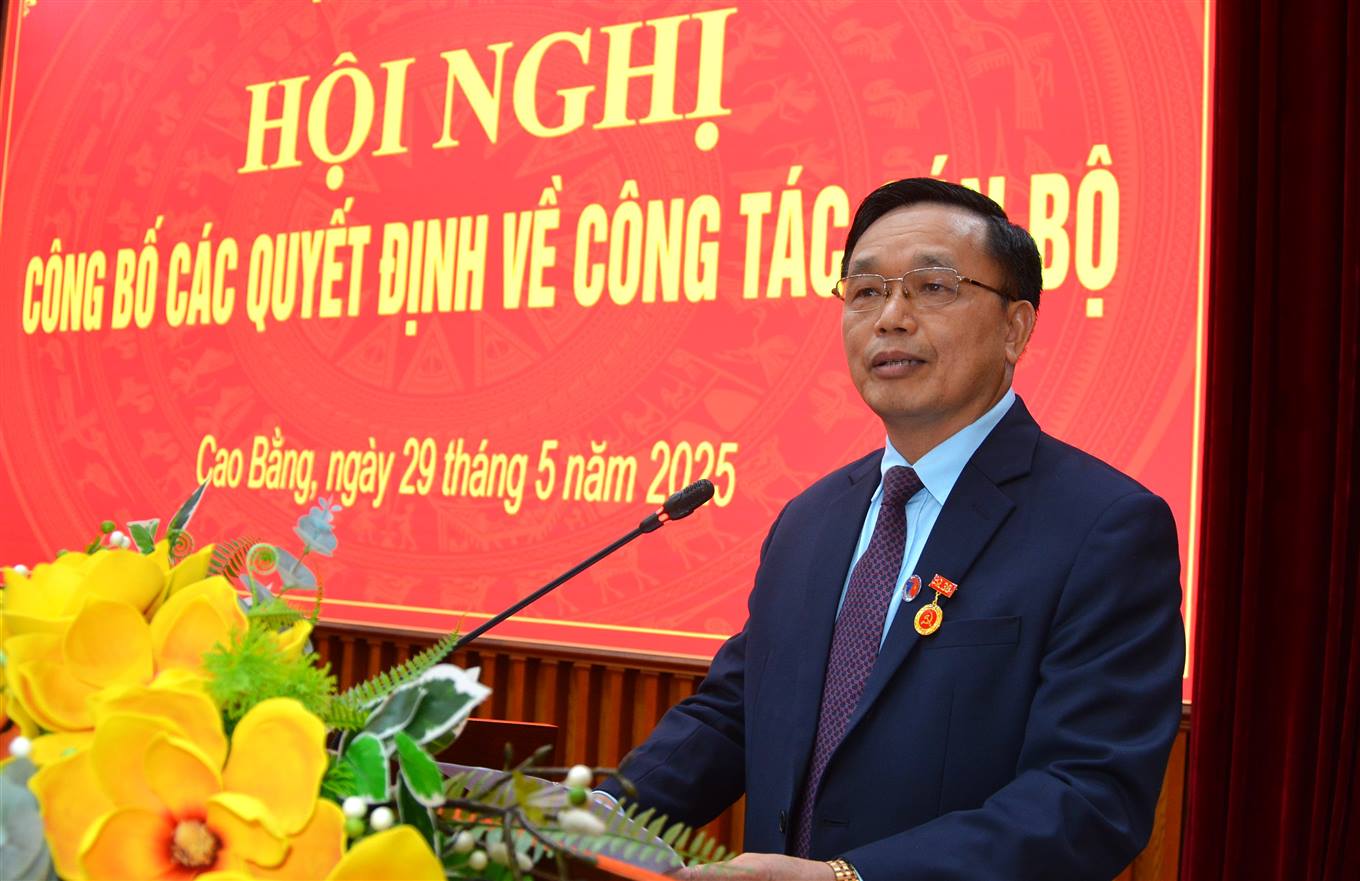 Ông Triệu Đình Lê - Phó Bí thư Thường trực Tỉnh ủy, Chủ tịch HĐND tỉnh Cao Bằng phát biểu tại hội nghị. Ảnh: Caobang.gov.vn