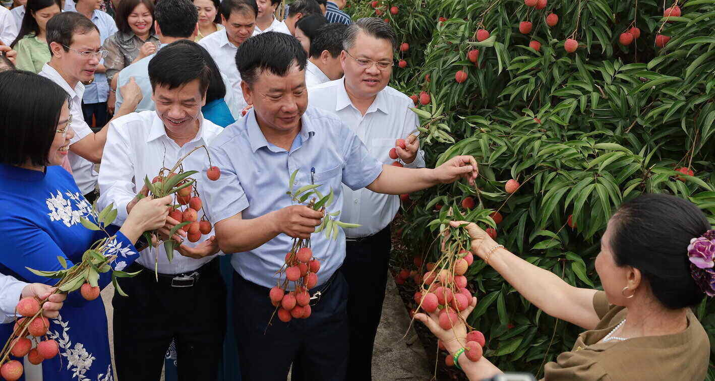 La ceremonia de apertura de la tela de Thanh Ha en Thanh Lanh Village (Tanh Quang Commune, distrito de Thanh Ha, provincia de Hai Duong). Foto: Mai Huong