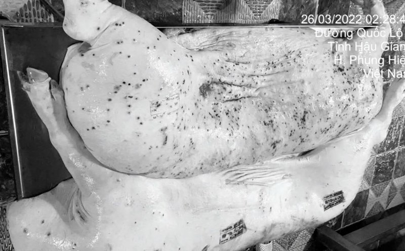 The image is said to be dirty meat mixed into the distribution system posted by the account owner on social media. Photo: Jonny Lieu