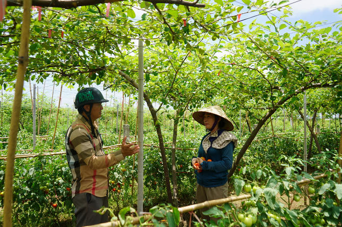 Chu tich Hoi Nong dan phuong Bang La thong bao voi ba con ve dau moi thu mua san pham. Anh: Mai Dung