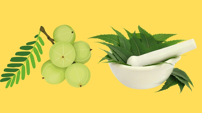 Toc khoe muot, het gau nho qua amla va la neem. Do hoa: Minh Hoang
