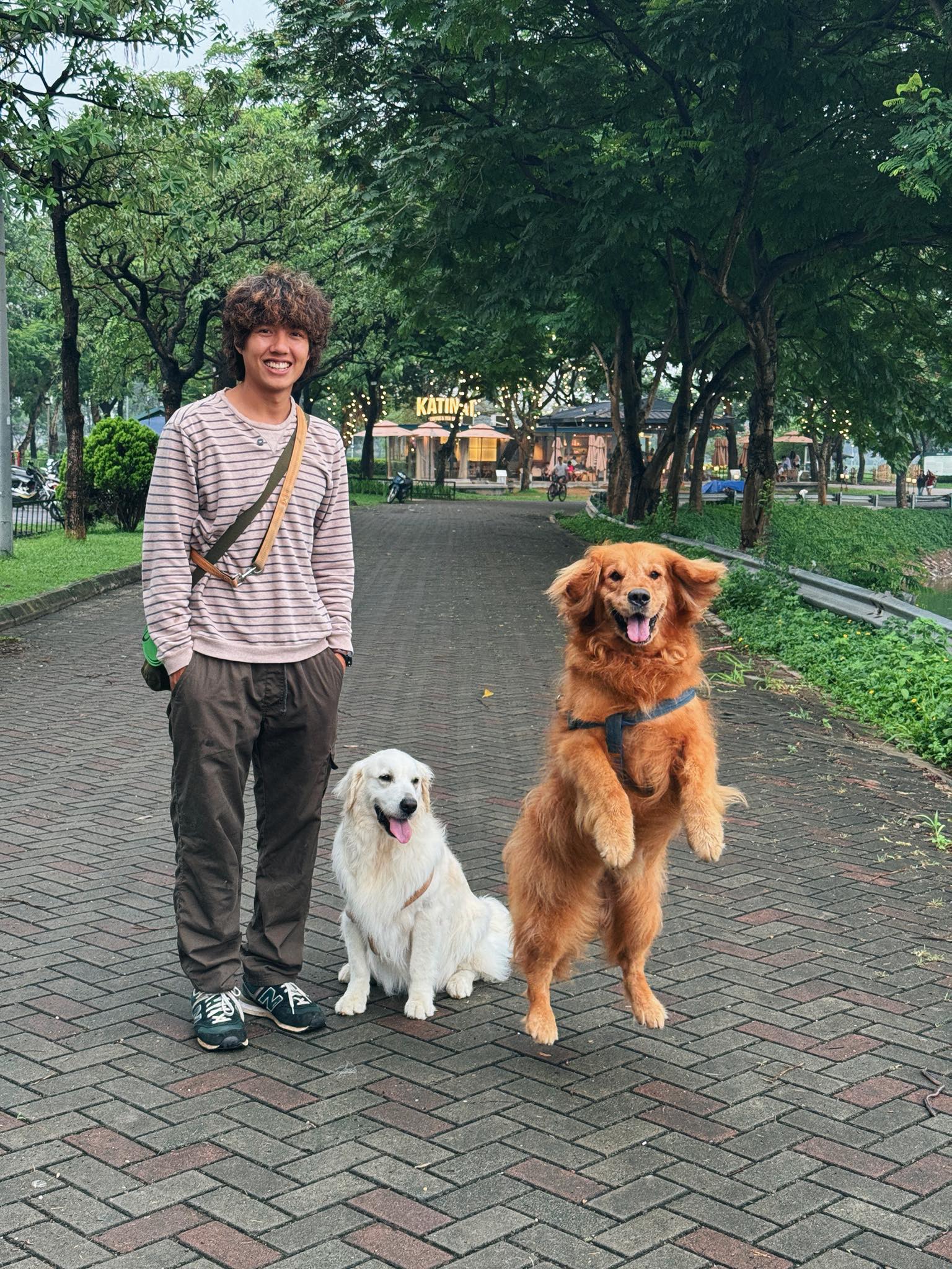 Binh va Bong, Bup da toi Ha Noi vao ngay 23.5. Anh: Binh Bong Bup
