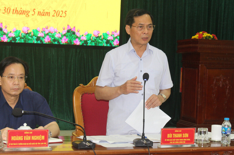 Phó Thủ tướng Bùi Thanh Sơn kết luận buổi làm việc. Ảnh: Thương Nguyễn