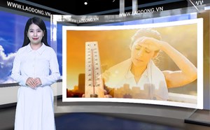 Bản tin dự báo thời tiết đêm nay và ngày mai 1.6