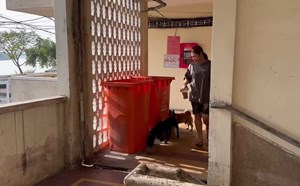 Thách thức thu gom rác để tính theo cân tại các chung cư ở TPHCM