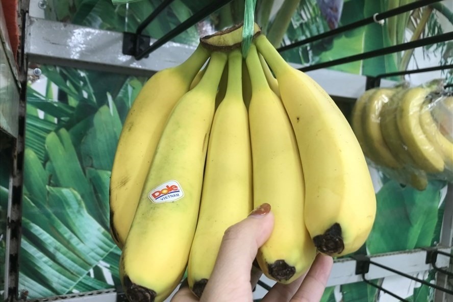 How to store food without mold. Photo: Thanh Ngoc